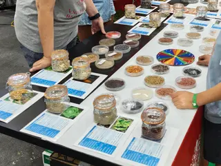 Taller ‘Conociendo la biodiversidad de los cultivos de nuestra tierra’ realizado por el área de producción vegetal de la Universidad de Salamanca | Universidad de Salamanca