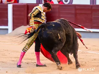 Damián Castaño Con Un Toro De Veiga Teixeira En Las Ventas | Foto PLAZA 1