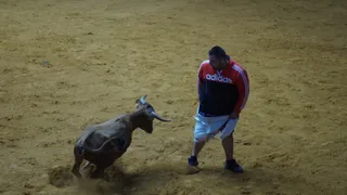 Encierro en Alba de Tormes