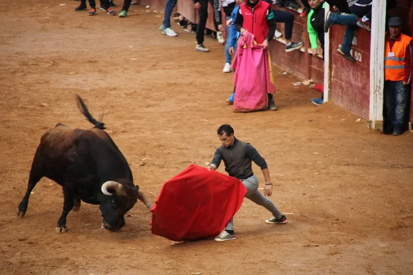 Capea matutina del martes de Carnaval 