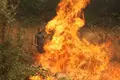 Vecinos de Piedralves intentan combatir el fuego en las afueras del pueblo. José Vicente | ICAL