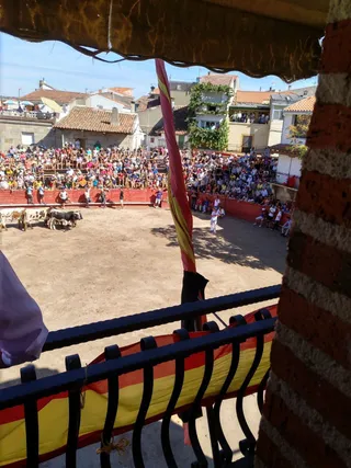 Fiestas Villarino de los Aires: Encierro viernes