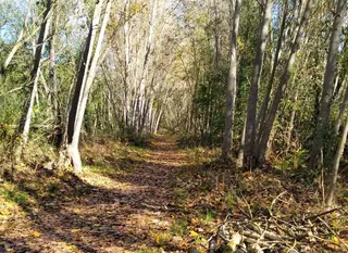 Camino de la Aceña de Alba de Tormes