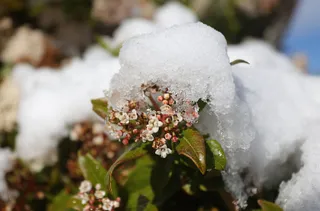 Nieve en el sur de Salamanca. Foto de archivo de Vicente (ICAL)