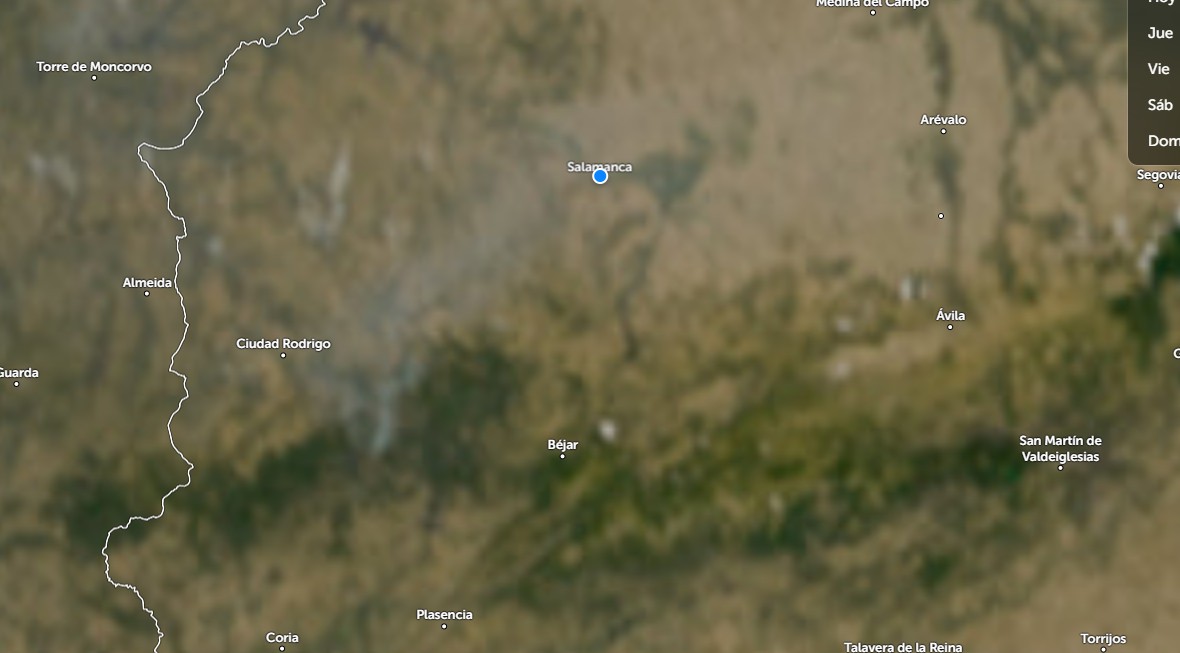 Humo Incendio Pinofranqueado 