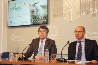 Ayuntamiento y Diputación, otra vez de la mano en Salamaq