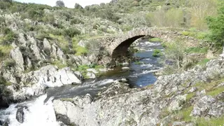 Puente Gatos | Florencio Rodríguez Vallejo