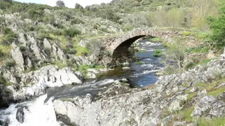 Puente Gatos | Florencio Rodríguez Vallejo