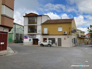 Lumbrales (6)