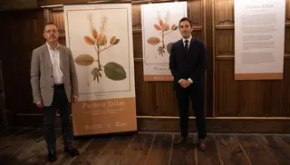 La Biblioteca General Histórica acerca al público parte de sus fondos sobre ilustración botánica | Comunicación Universidad de Salamanca