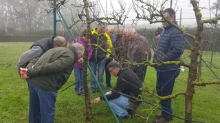 Taller de poda de árboles. Foto EP