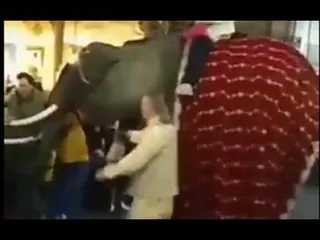 A punto de una DESGRACIA