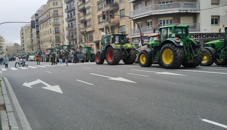 Imagen de WhatsApp 2024 02 08 a las 13.39.47 b0841a4a