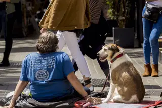Una persona y su perro FAADA