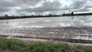 Zonas de cultivo afectadas. UPA Salamanca