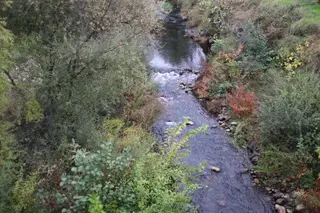Cauce de un río