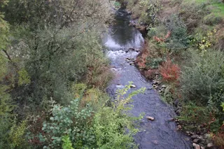Cauce de un río
