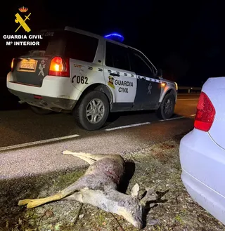 Investigados hombres por abatir ilegalmente un corzo durante la veda en El Payo | Guardia Civil de Salamanca