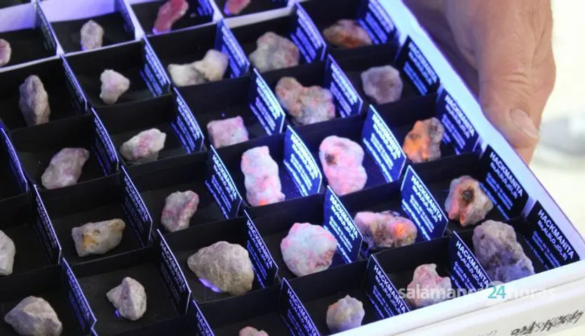 Feria de Minerales