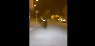 Oso visto en Ponferrada | Policía Local de Ponferrada, redes