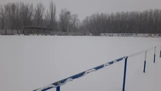 Nieve Almazán