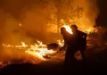Agentes medioambientes combatiendo las llamas en un incendio forestal originado entre Formariz y Muga De Sayago | José Vicente-ICAL