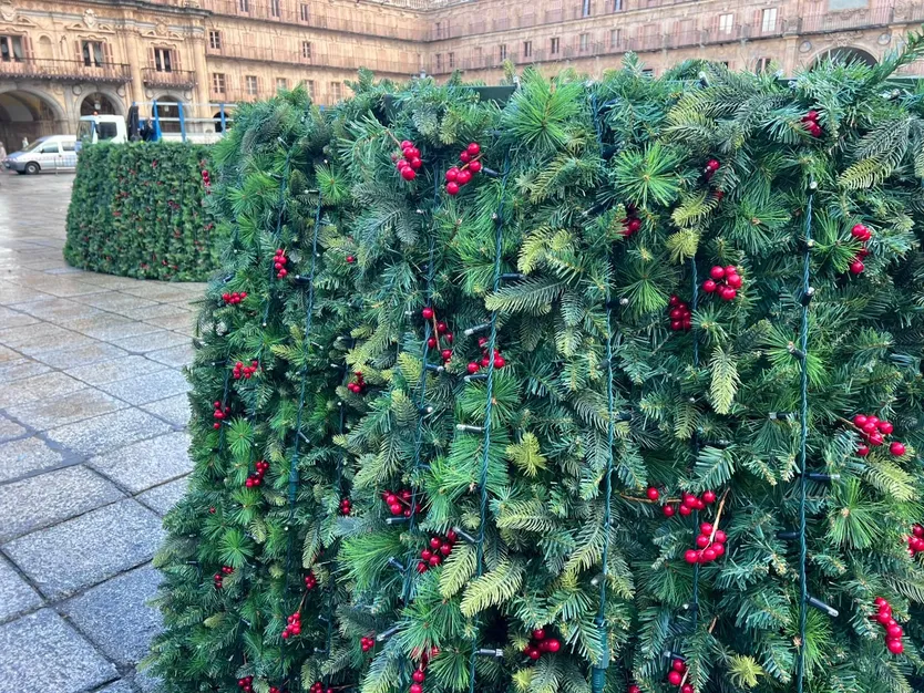 Montaje del árbol de 23 metros en la Plaza Mayor de Salamanca por Navidad