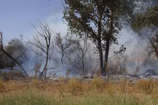 Incendio forestal en Aldeaseca de Alba. FOTO S24H