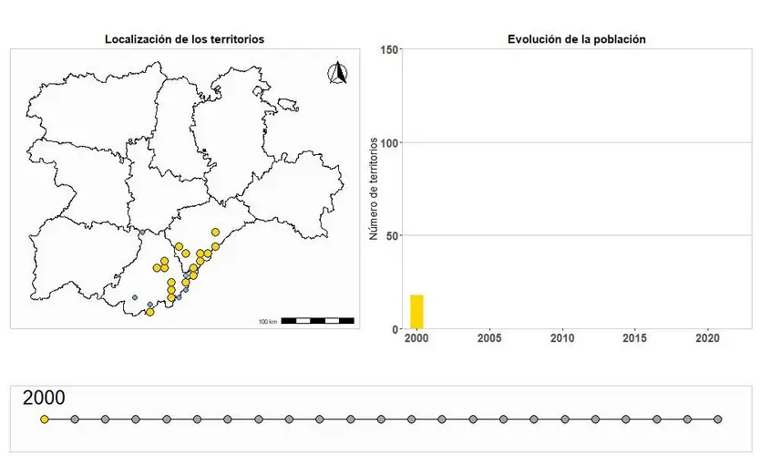 Evolución+águila+imperial