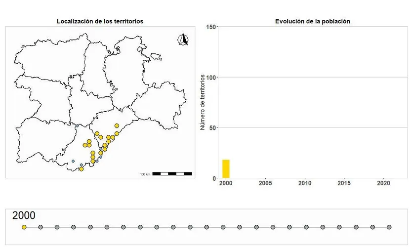 Evolución+águila+imperial
