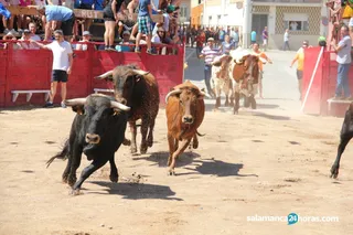 Encierro vilvestre tono 0715