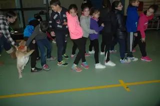 Jornada de deporte adaptado