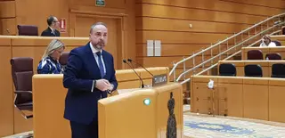 Bienvenido de Arriba en el Senado