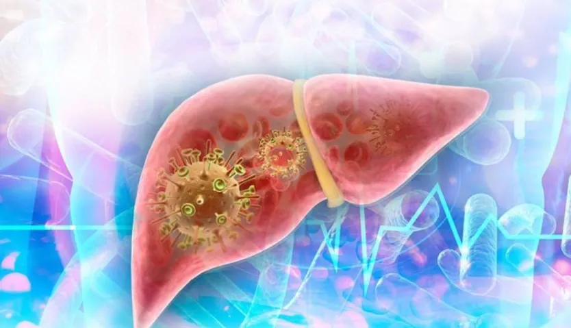 Virus hepatitis, hígado | EUROPA PRESS