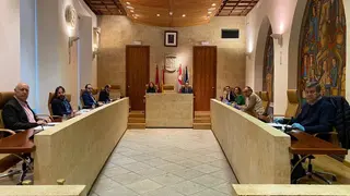 Pleno Ayuntamiento reunión coronavirus