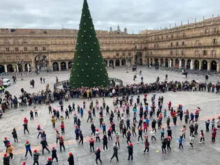 Colegio Maristas Salamanca- Especial Enseñanza 2025