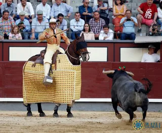 Novillada en Las Ventas 3/06/2017