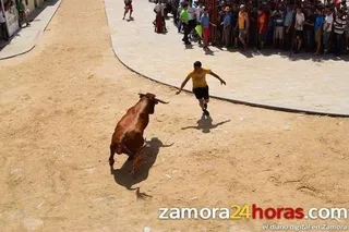 Herido grave en Fuentesaúco tras ser cogido por el toro mientras hacía fotos con el móvil
