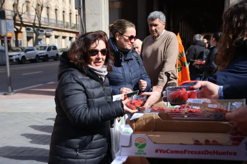 Colas interminables en Gran Vía por el reparto gratuito de fresas en Salamanca