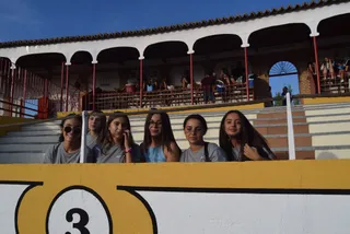 Novillada de las Ferias de Peñaranda