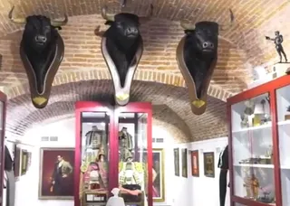 Taurino