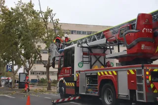Bomberos podando árboles en el paseo de San Vicente por el temporal de viento. Foto Andrea M.