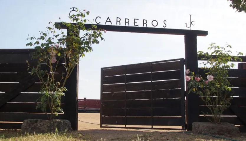 Finca Carreros 1