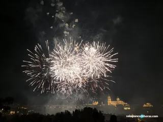 Fuegos artificiales