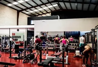 Los gimnasios comienzan temporada alta