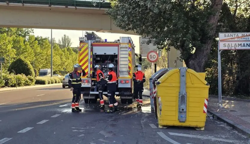 Incendio de pastos en la carretera de Madrid 