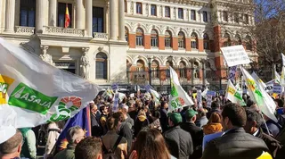 Manifestación agricultores | ARCHIVO