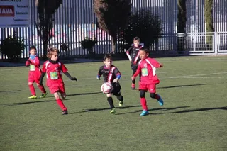 Resultados y clasificaciones del fútbol base: Prebenjamín