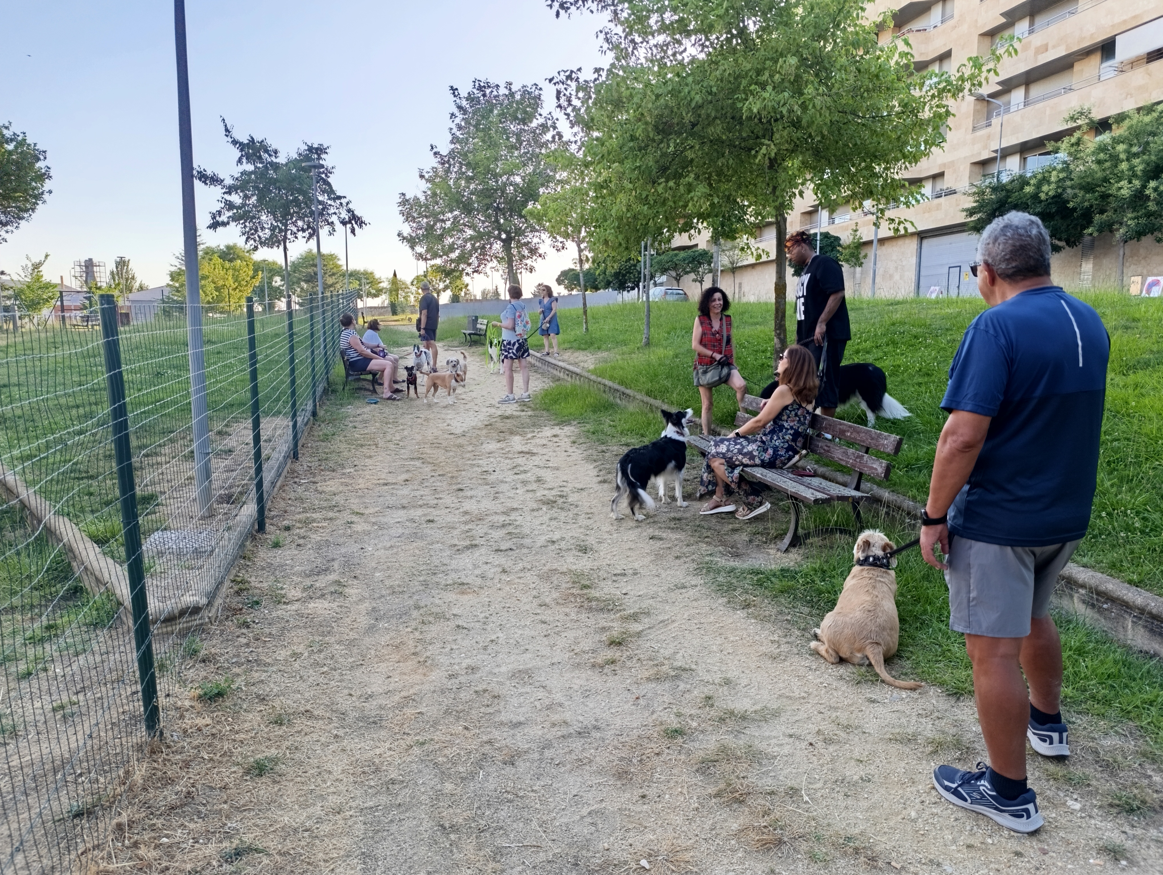 Propietarios de los animales en los aleda&ntilde;os del pipican precintado