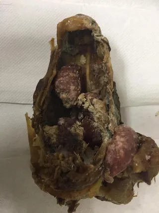 Clinica Veterinaria Bichos